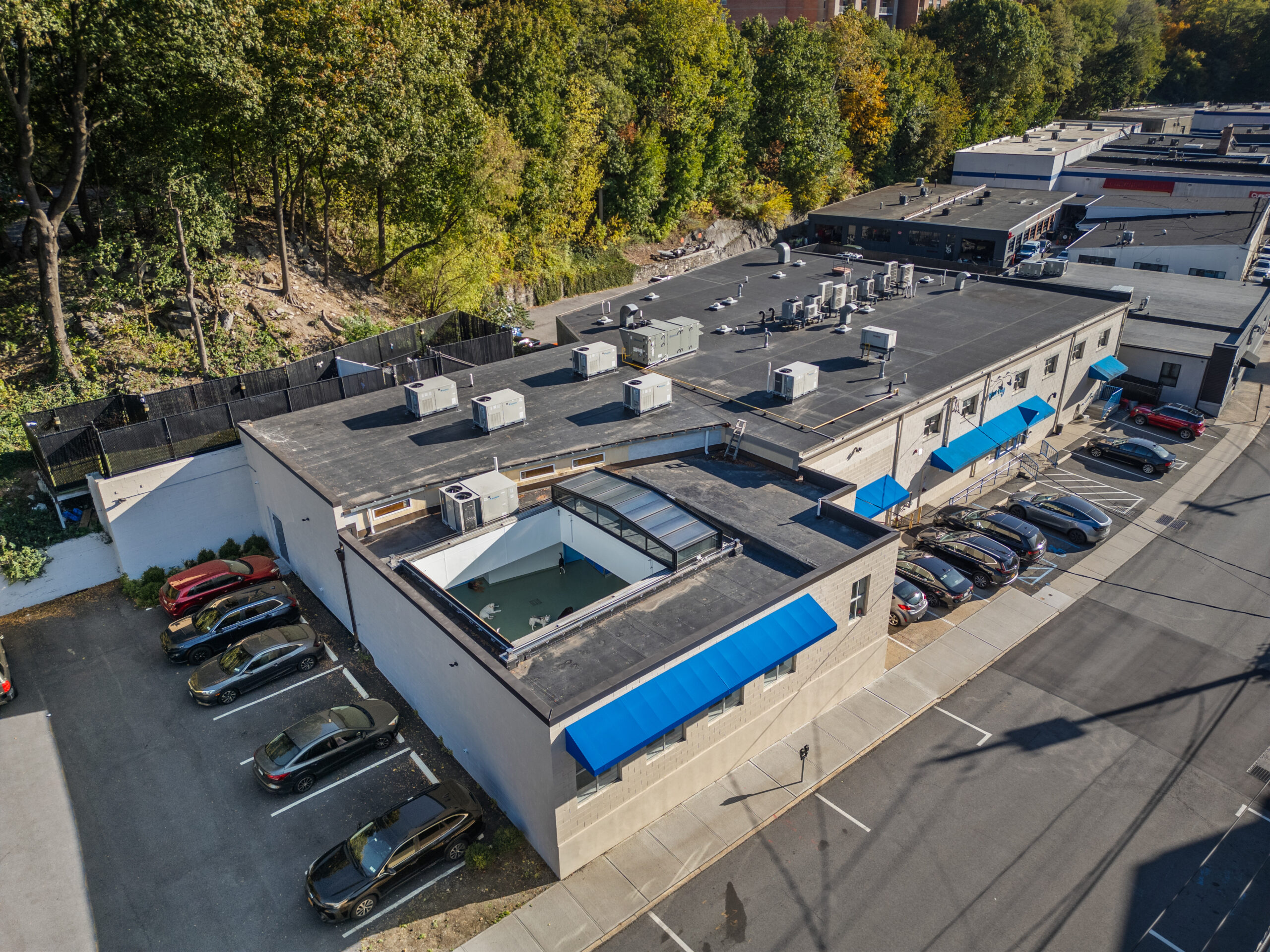 Paws & Play Pet Resort