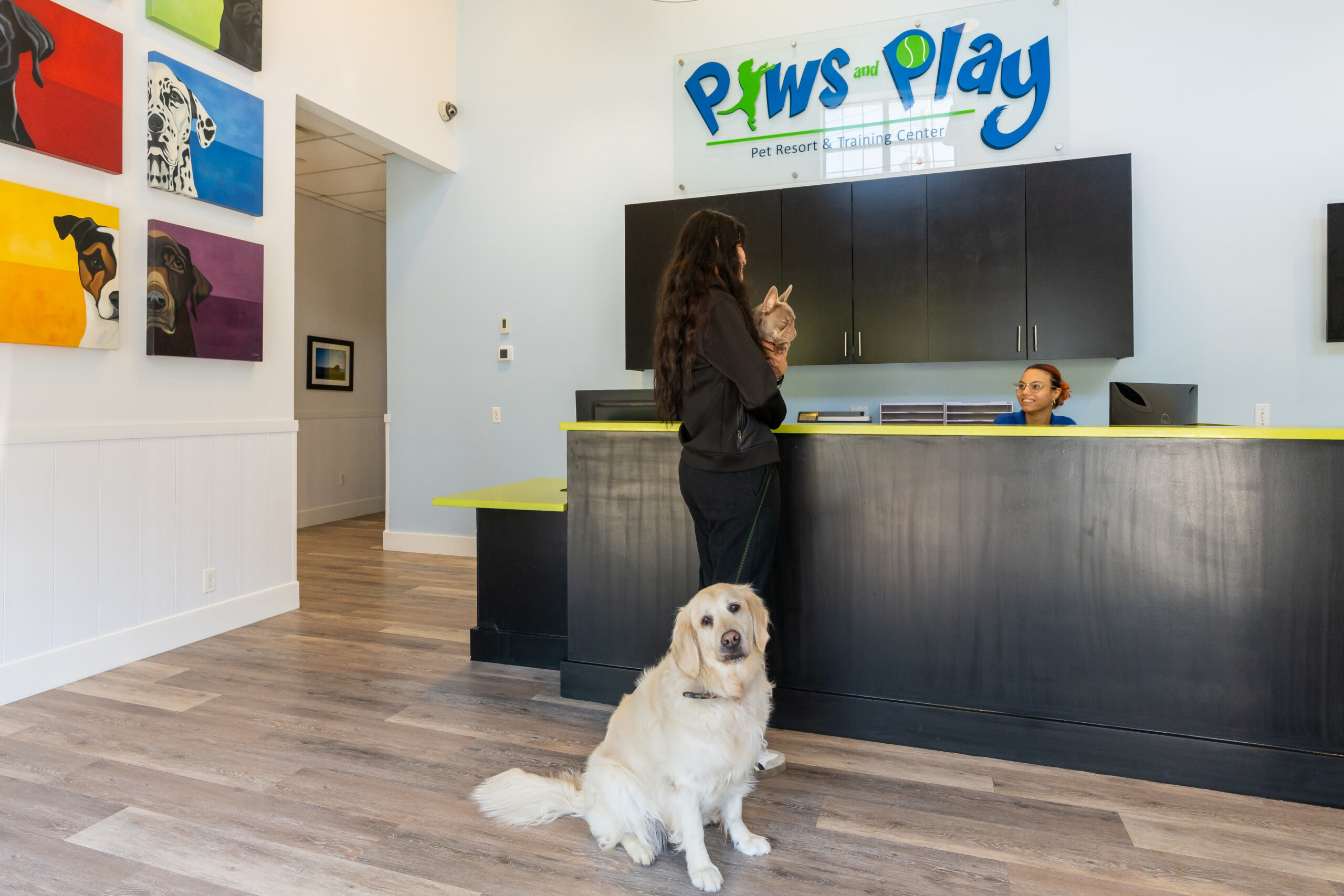 Paws & Play Pet Resort