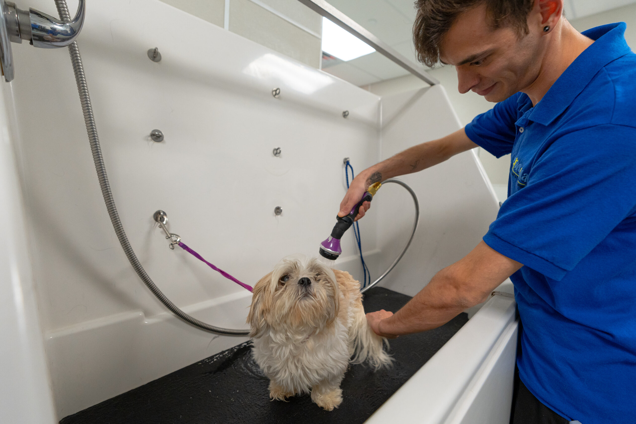 Paws & Play Pet Resort