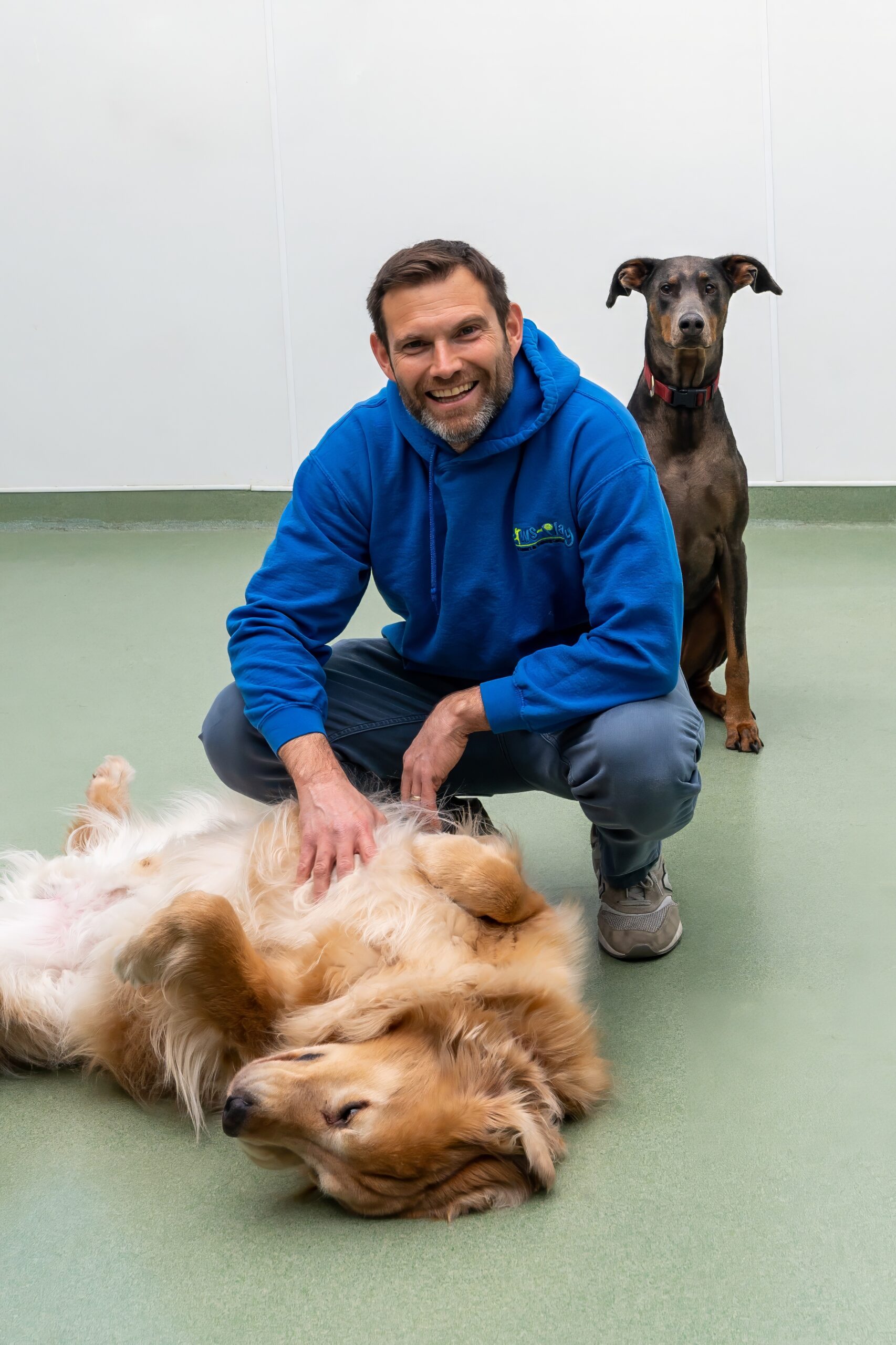 Paws & Play Pet Resort