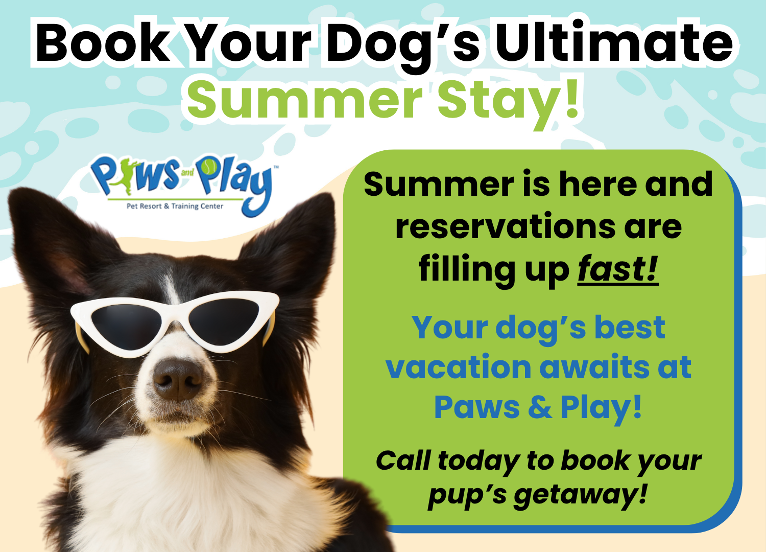Summer Pop-up at Paws and Play